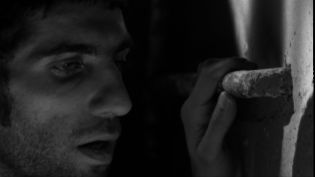 Facing, 2008, DVD 53 min